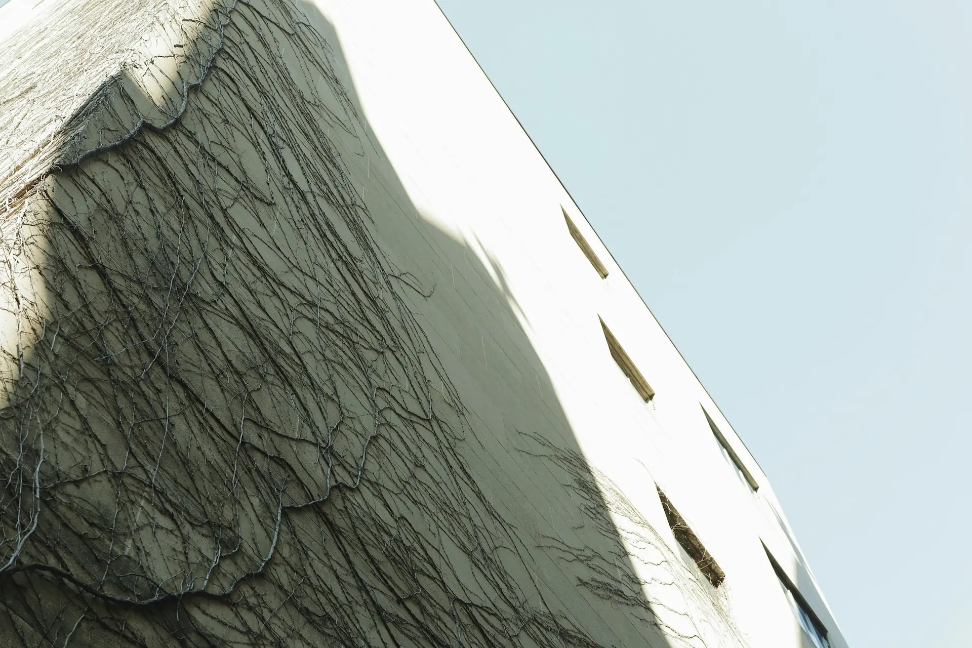 Architectural detail of a modern commercial workplace interior